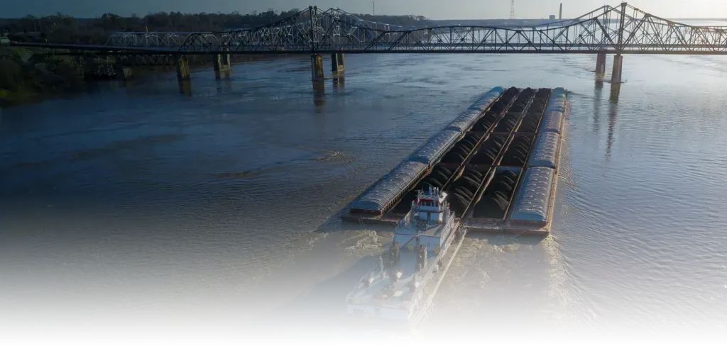 Liberty Hill's Portfolio hero background